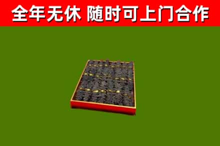 台江回收海参